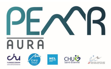 Logo PEMR AURA