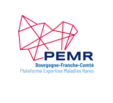 logo pemr