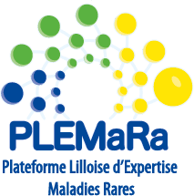 logo plemara