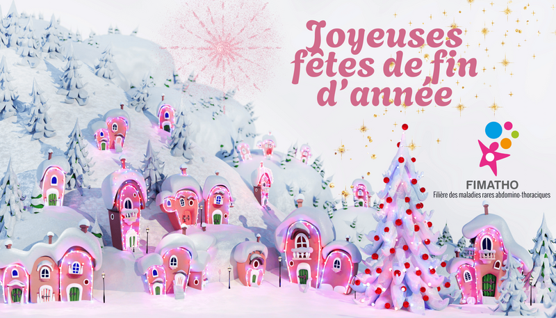 Bonnes fêtes de fin d'année !