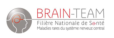 Brain Team