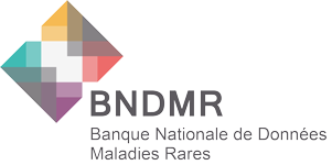 Séminaire utilisateurs BNDMR 2020 - Paris