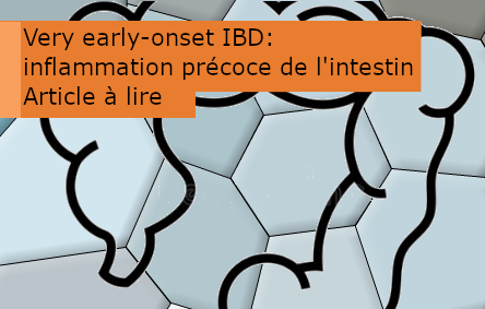 Article sur les VEOIBD