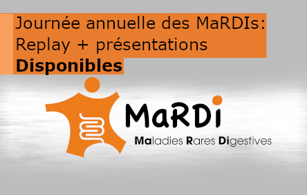 Présentations et vidéos de la journée annuelle des MARDIs